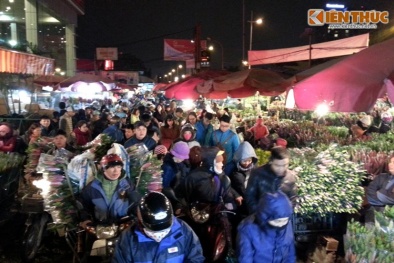 Hà Nội: Chợ hoa Quảng An động tới mức 'nghẹt thở'