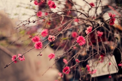 Dự báo thời tiết ngày mai 29 Tết Âm lịch: Tin không khí lạnh tăng cường