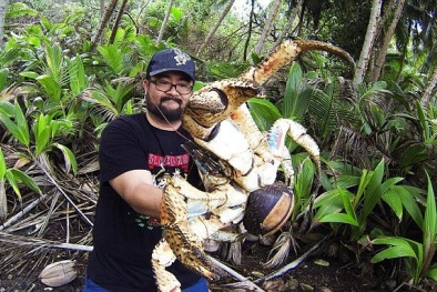 Du khách nín thở nhấc cua dừa 5kg 'siêu khủng' lên ngắm