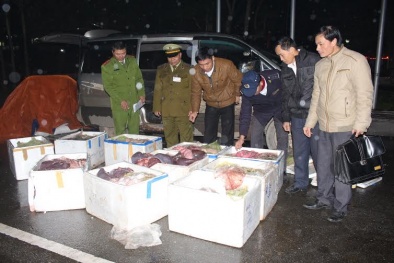 Sát Tết vẫn bắt hàng tấn nội tạng hôi thối 'tuồn' ra thị trường 