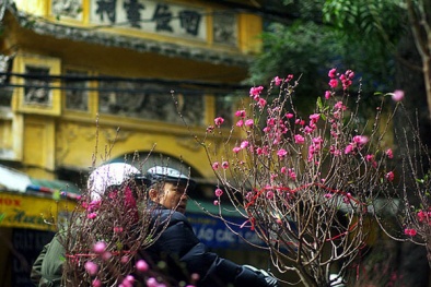 Dự báo thời tiết ngày mùng 1 Tết Bính Thân: Nắng theo chân người đi chúc Tết