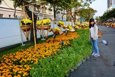Chưa bao giờ Nam Bộ đón Tết lạnh đến thế trong 17 năm qua