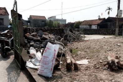 Tin tức pháp luật mới nhất 24h hôm nay ngày mùng 2 Tết