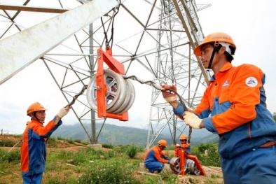  Cty CP Sông Đà 11 khép lại một năm đột phá về năng suất chất lượng