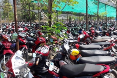 Đầu xuân cáp treo núi Cấm tắc nghẽn, giá vé gửi xe đội lên gần 3 lần