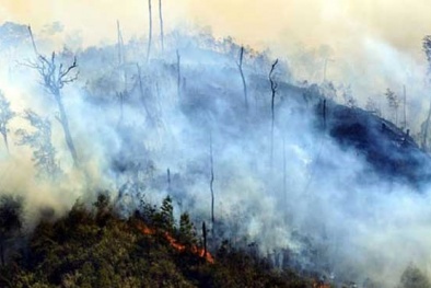 Nguyên nhân vụ cháy rừng quốc gia Hoàng Liên chiều mùng 3 Tết