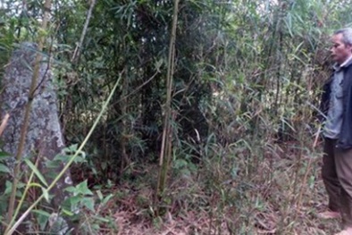 Thanh Hóa phát hiện mộ cổ trong vườn nhà dân