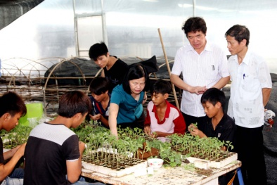 Vĩnh Phúc giải bài toán năng suất chất lượng nông nghiệp bằng công nghệ cao