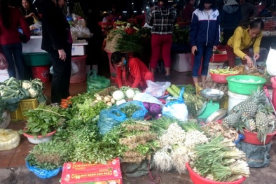 Giá rau củ đầu năm tại Quảng Trị tăng 'chóng mặt'