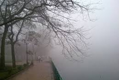 Dự báo thời tiết ngày 15/2/2016: Có mưa vài nơi, trời chuyển rét 