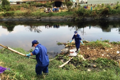 Bí ẩn thi thể đang phân hủy nặng dưới lớp bèo trên kênh Tham Lương