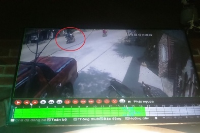 Tin tức pháp luật mới nhất 24h hôm nay ngày 15/2