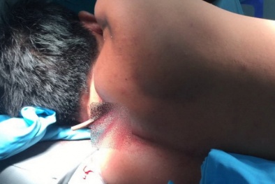 Tin tức pháp luật mới nhất hôm nay ngày 16/2