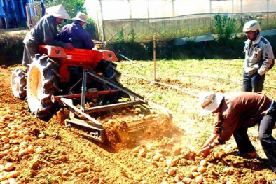 Tăng năng suất trồng trọt với máy đào khoai tây siêu nhanh