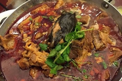 ‘Đứng hình’ khi phát hiện chuột chết trong nồi thịt bò hầm