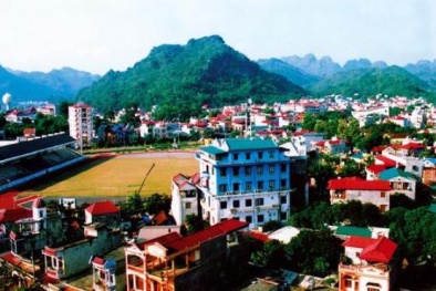 Phê chuẩn nhân sự UBND 2 tỉnh Sơn La, Quảng Nam