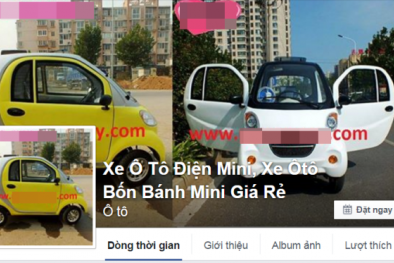 Đừng mua ô tô điện rao bán trên mạng
