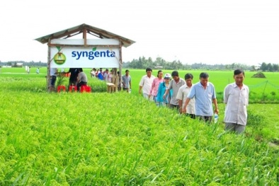 Syngenta chung tay nâng cao năng suất chất lượng nông sản Việt Nam