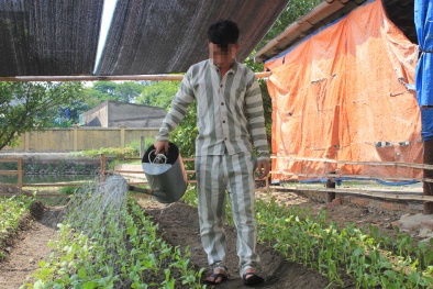 Tin tức pháp luật mới nhất 24h hôm nay ngày 21/2