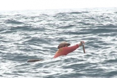 Tiếp tục tìm kiếm 2 ngư dân mất tích trên biển Quảng Nam
