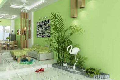 Tận dụng cây xanh hút khí độc trong nhà, đón vận may năm mới 