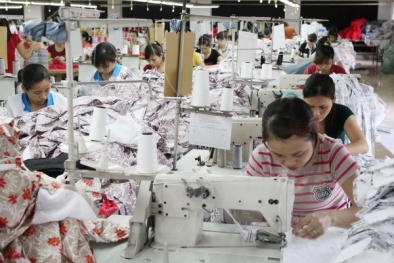 Quảng Ninh: Xác định hàng hóa chủ lực để nâng cao năng suất chất lượng