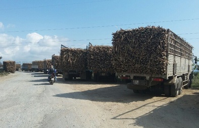 Xe quá tải ‘lộng hành’, Chánh Thanh tra Sở GTVT bị đình chỉ công tác