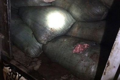 Phanh phui ‘bí mật’ trên chiếc xe tải bốc mùi hôi thối 