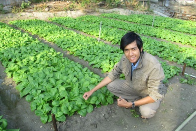 Tăng năng suất chất lượng lúa tới 50% nhờ phân bón từ bùn thải