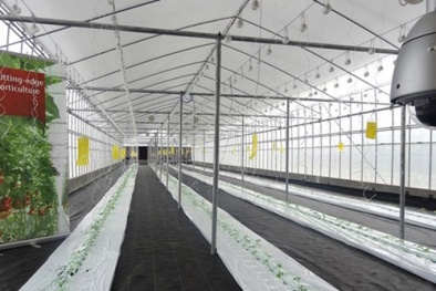 Tăng năng suất chất lượng nông sản bằng điện toán đám mây Akisai