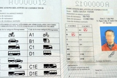 TP.HCM: Nhận bằng lái xe quốc tế sau 5 ngày nộp hồ sơ