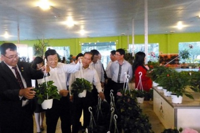 20% doanh nghiệp chủ lực Lâm Đồng thực hiện dự án nâng cao NSCL