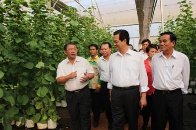 Đồng Nai: 240 doanh nghiệp được hỗ trợ nâng cao năng suất chất lượng