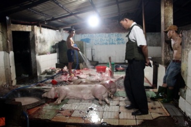 Lò mổ heo lậu bùng phát chóng mặt tại Đồng Nai