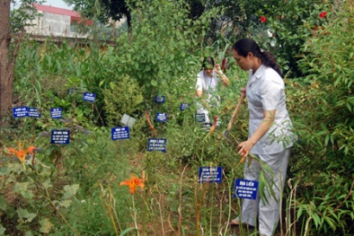 Phát triển y dược cổ truyền, nâng cao chất lượng chăm sóc người dân