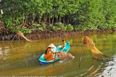 4 phương thức nuôi tôm điển hình mang lại hiệu quả cao