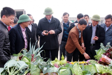 Đẩy nhanh tiến độ thi công Dự án Khu nông nghiệp ứng dụng công nghệ cao Đông Triều