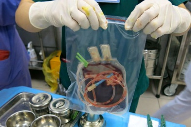 Bệnh viện Nhi Trung ương thu phí lưu trữ máu cuống rốn