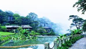 Vụ vườn Quốc gia Ba Vì: Tổng cục Lâm nghiệp chưa trình Bộ NN&PTNT phê duyệt