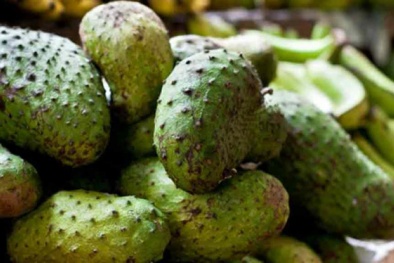 9 loại thực phẩm ngừa ung thư cực mạnh