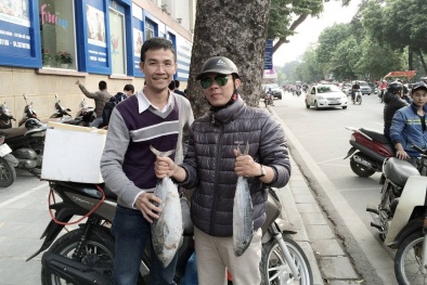 CEO trẻ bỏ nghiệp để bán cá cùng vợ và chủ đề gây tranh cãi