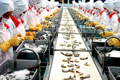 Hàng rào kỹ thuật của thị trường Đức rất khắt khe