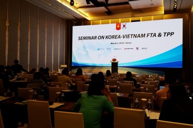  FTA có hiệu lực: Kỳ vọng nào cho doanh nghiệp Việt Nam-Hàn Quốc?