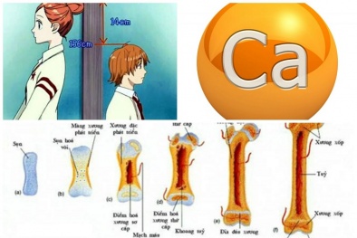 Lợi bất cập hại khi tiêm hormone tăng chiều cao