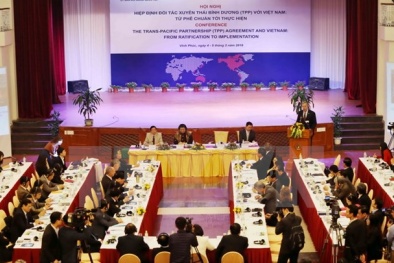 Hiệp định TPP: Hàng loạt tiêu chuẩn cao sẽ đi vào thực tiễn ở Việt Nam
