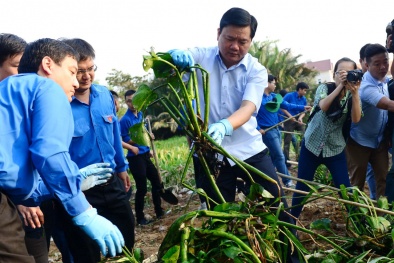 Bí thư Đinh La Thăng xắn quần, lội bùn vớt bèo cùng dân