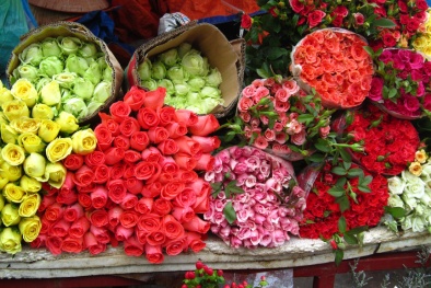 Cận ngày Quốc tế phụ nữ 8/3, hoa tươi được mùa ‘hốt bạc’