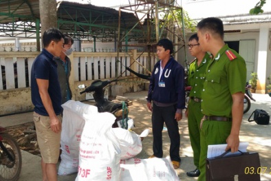 Thu giữ hơn 2 tạ gà thối trên đường tiêu thụ