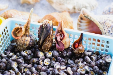 Cục An toàn thực phẩm khuyến cáo người dân không bắt ‘ốc lạ’