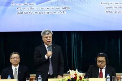 Chiến lược quốc gia về Sở hữu trí tuệ: Cần một cú huých!